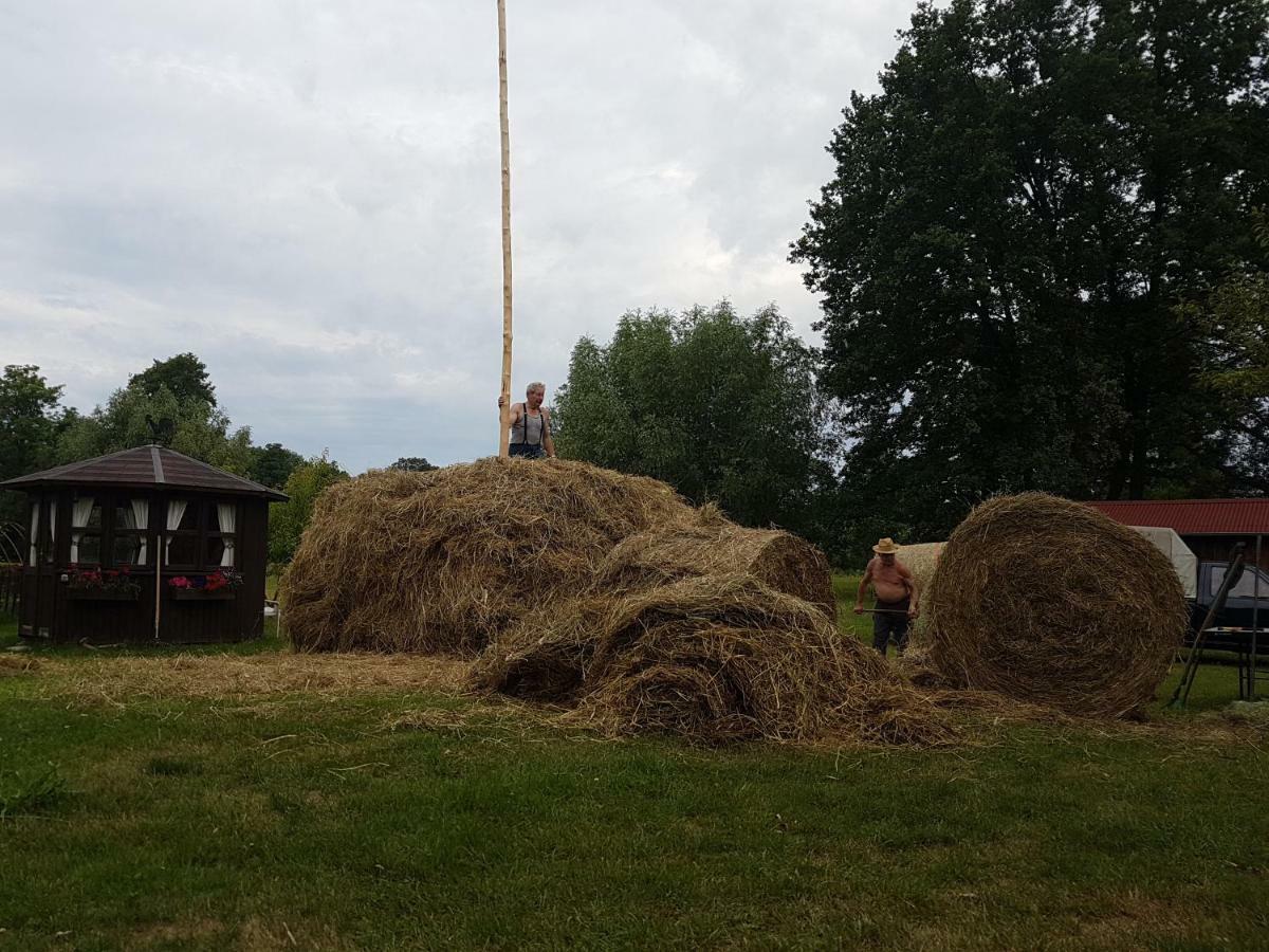 Ferienwohnung Zum Heuschober Burg  Zewnętrze zdjęcie